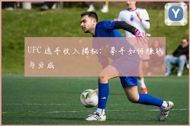 UFC 选手收入揭秘：拳手如何赚钱与分成